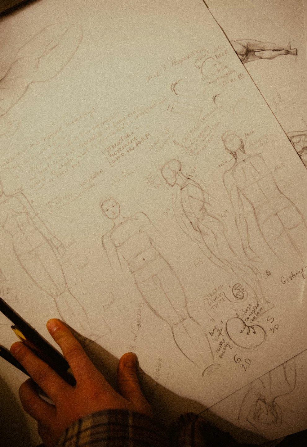 Ruka drží tužky nad skicákem s kresbami anatomie.